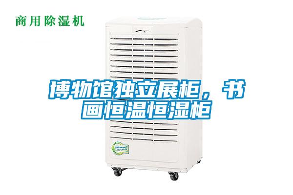博物馆独立展柜，书画恒温恒湿柜