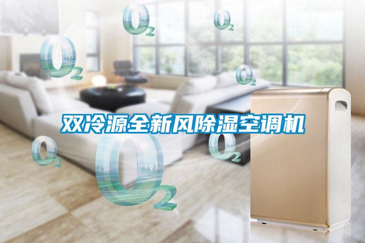 双冷源全新风香蕉福利视频空调机