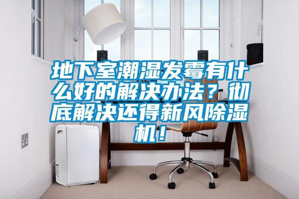 地下室潮湿发霉有什么好的解决办法？彻底解决还得新风香蕉福利视频机！