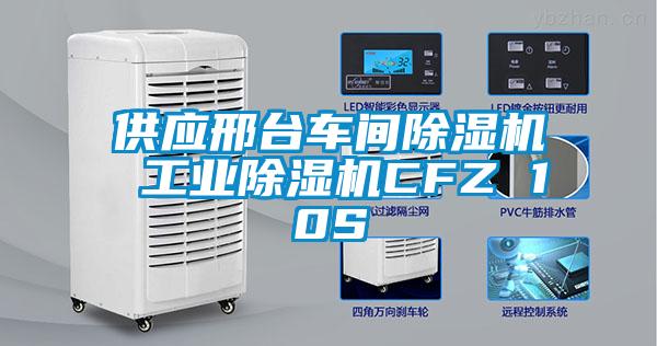 供应邢台车间香蕉福利视频机 工业香蕉福利视频机CFZ 10S