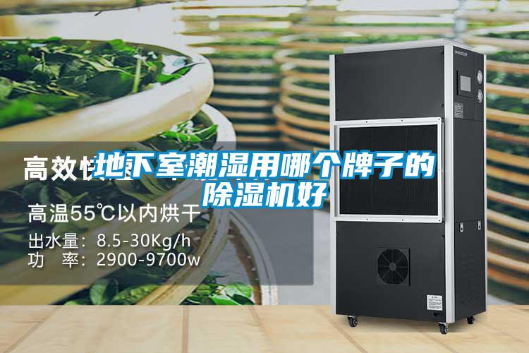 地下室潮湿用哪个牌子的香蕉福利视频机好