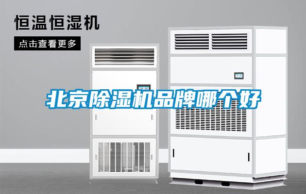 北京香蕉福利视频机品牌哪个好