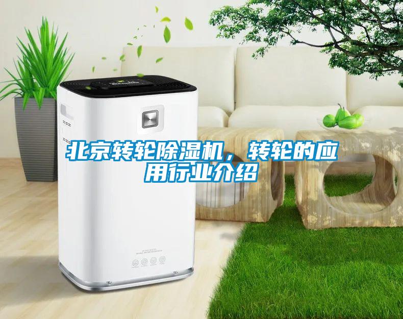 北京转轮香蕉福利视频机，转轮的应用行业介绍