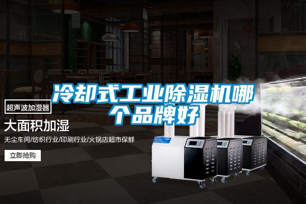 冷却式工业香蕉福利视频机哪个品牌好