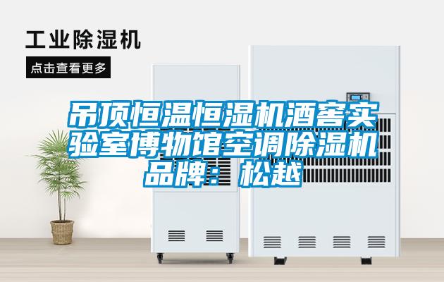 吊顶恒温恒湿机酒窖实验室博物馆空调香蕉福利视频机品牌：松越