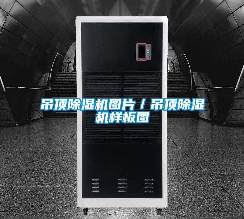 吊顶香蕉福利视频机图片／吊顶香蕉福利视频机样板图