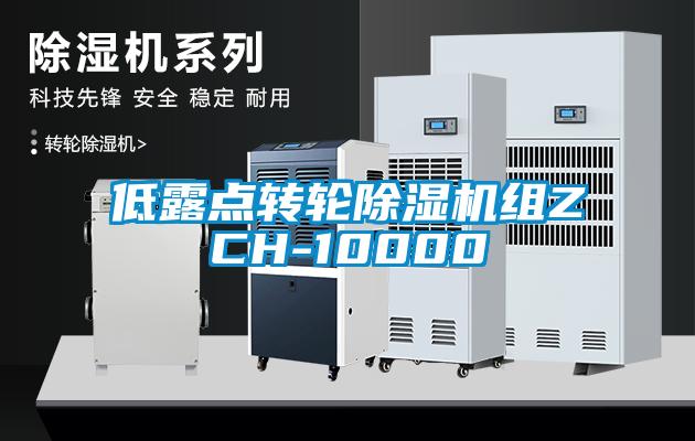 低露点转轮香蕉福利视频机组ZCH-10000
