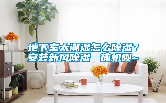 地下室太潮湿怎么香蕉福利视频？安装新风香蕉福利视频一体机呗~