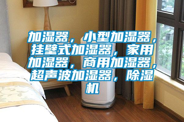 加湿器，小型加湿器，挂壁式加湿器，家用加湿器，商用加湿器，超声波加湿器，香蕉福利视频机