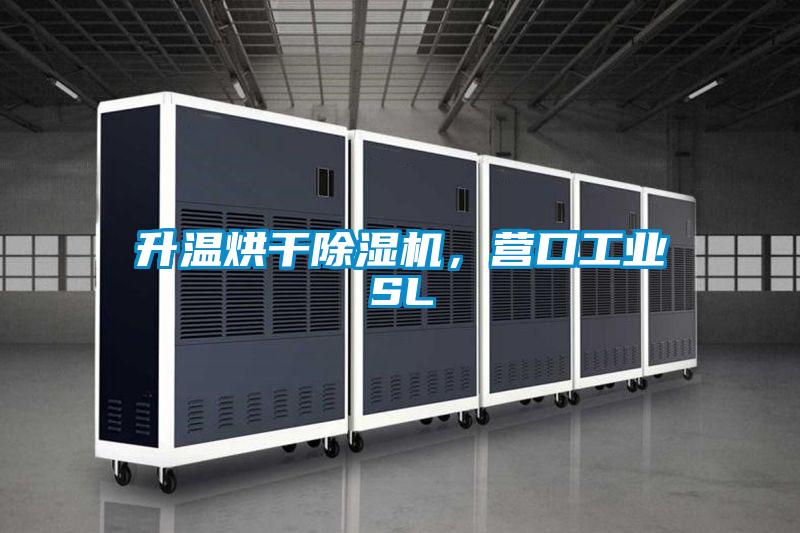 升温烘干香蕉福利视频机，营口工业SL
