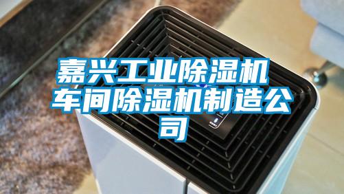 嘉兴工业香蕉福利视频机 车间香蕉福利视频机制造公司