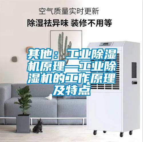 其他：工业香蕉福利视频机原理—工业香蕉福利视频机的工作原理及特点