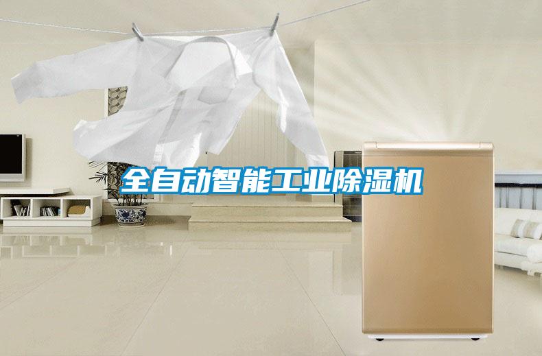 全自动智能工业香蕉福利视频机