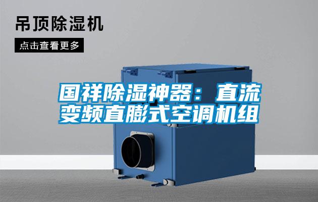 国祥香蕉福利视频神器：直流变频直膨式空调机组