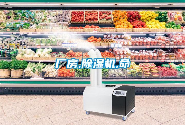 厂房,香蕉福利视频机,命