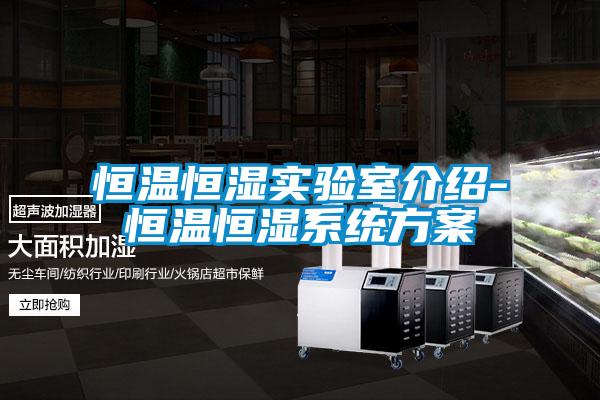 恒温恒湿实验室介绍-恒温恒湿系统香蕉黄色APP网址