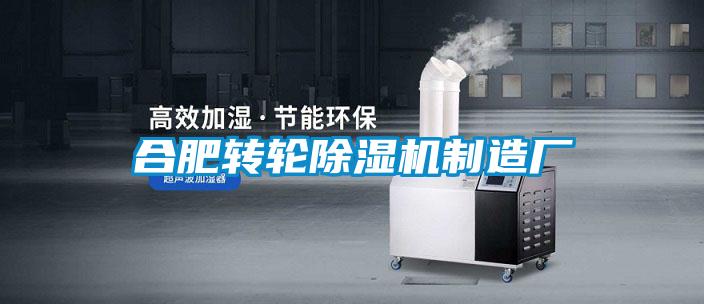 合肥转轮香蕉福利视频机制造厂