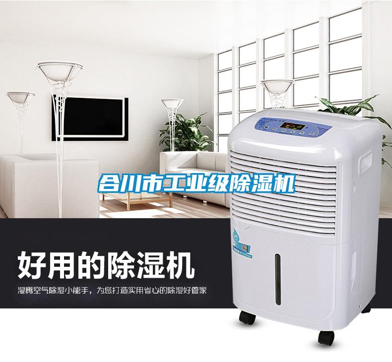 合川市工业级香蕉福利视频机