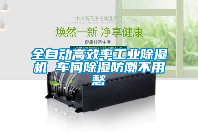 全自动高效率工业香蕉福利视频机 车间香蕉福利视频防潮不用愁