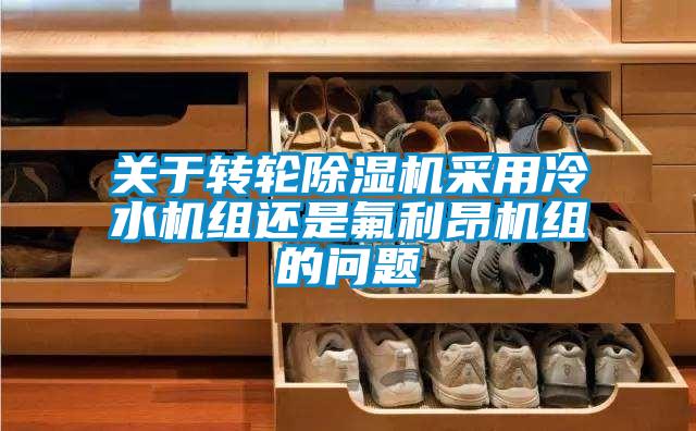 关于转轮香蕉福利视频机采用冷水机组还是氟利昂机组的问题