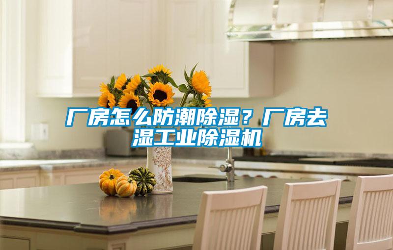厂房怎么防潮香蕉福利视频？厂房去湿工业香蕉福利视频机