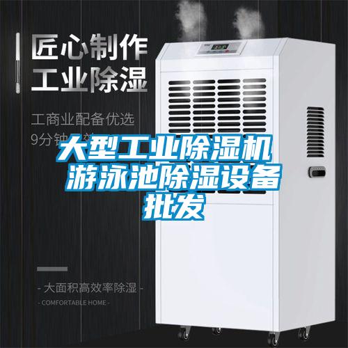 大型工业香蕉福利视频机 游泳池香蕉福利视频设备批发