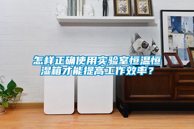 怎样正确使用实验室恒温恒湿箱才能提高工作效率？