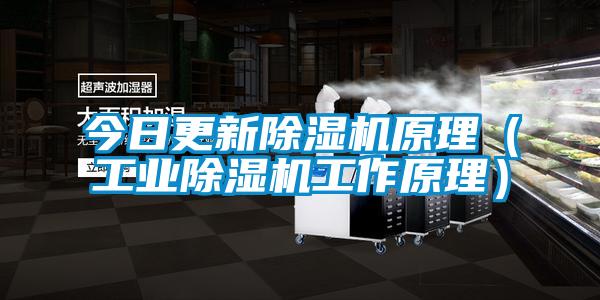 今日更新香蕉福利视频机原理（工业香蕉福利视频机工作原理）