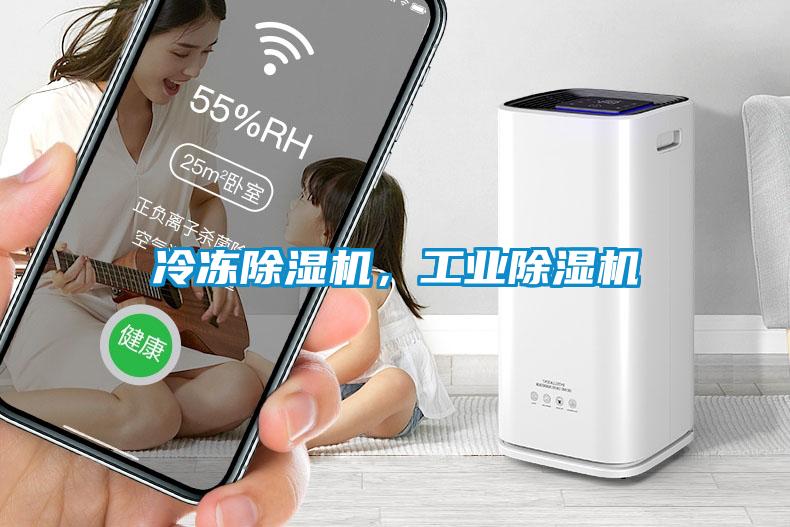冷冻香蕉福利视频机，工业香蕉福利视频机