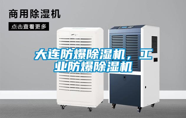大连防爆香蕉福利视频机，工业防爆香蕉福利视频机