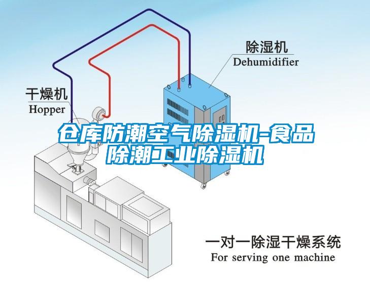 仓库防潮空气香蕉福利视频机-食品除潮工业香蕉福利视频机
