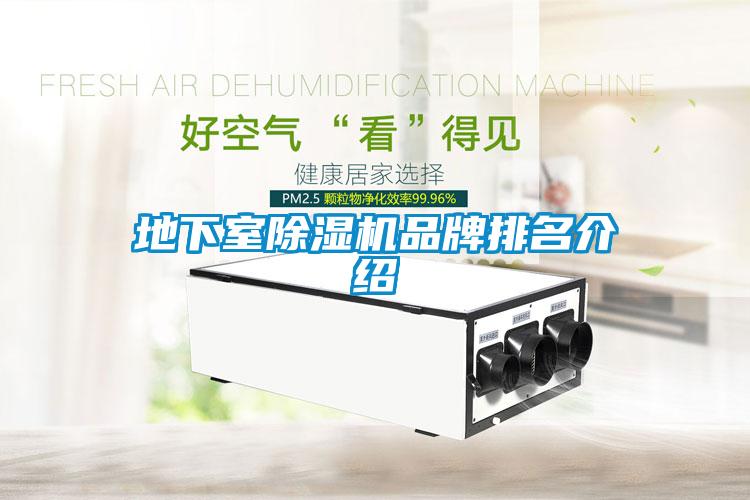 地下室香蕉福利视频机品牌排名介绍