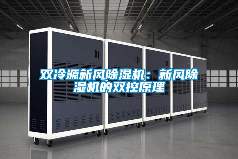 双冷源新风香蕉福利视频机：新风香蕉福利视频机的双控原理