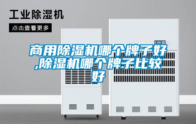 商用香蕉福利视频机哪个牌子好,香蕉福利视频机哪个牌子比较好