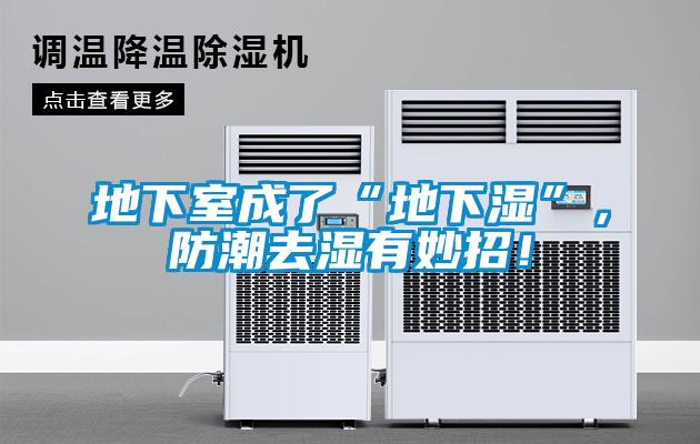 地下室成了“地下湿”，防潮去湿有妙招！
