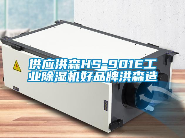 供应洪森HS-901E工业香蕉福利视频机好品牌洪森造