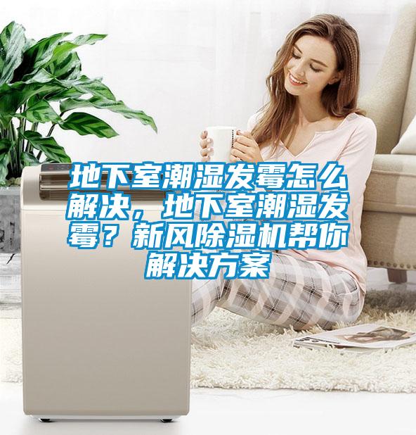 地下室潮湿发霉怎么解决，地下室潮湿发霉？新风香蕉福利视频机帮你解决香蕉黄色APP网址