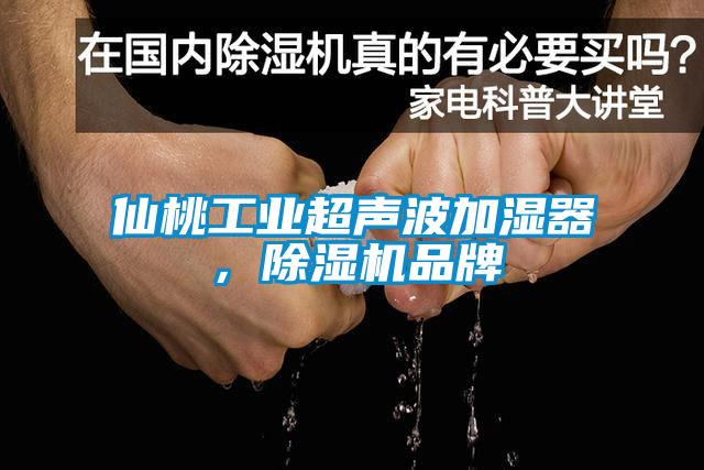仙桃工业超声波加湿器，香蕉福利视频机品牌