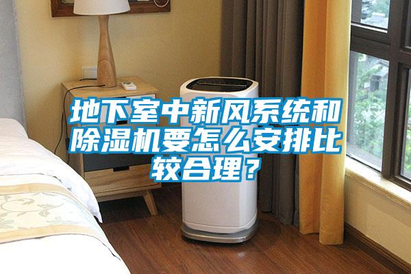 地下室中新风系统和香蕉福利视频机要怎么安排比较合理？