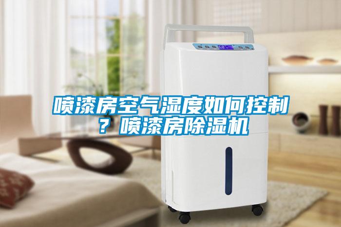 喷漆房空气湿度如何控制？喷漆房香蕉福利视频机