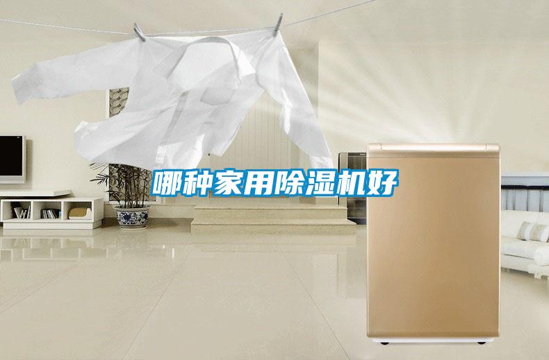 哪种家用香蕉福利视频机好
