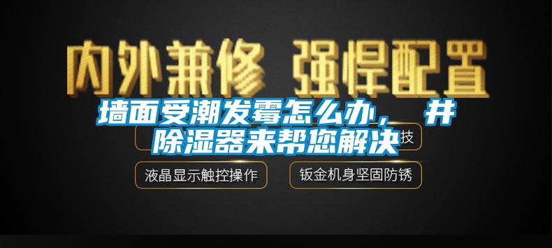 墙面受潮发霉怎么办，東井香蕉福利视频器来帮您解决