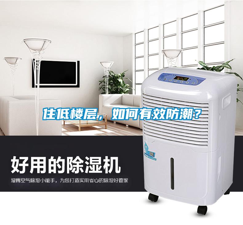 住低楼层，如何有效防潮？