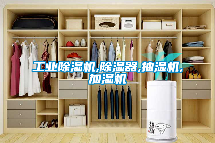 工业香蕉福利视频机,香蕉福利视频器,抽湿机,加湿机