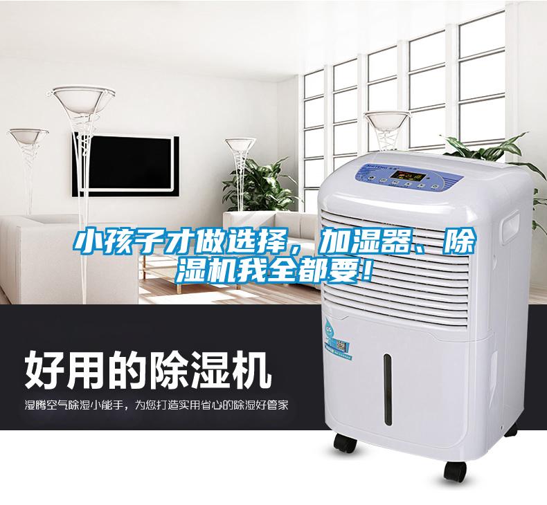 小孩子才做选择，加湿器、香蕉福利视频机我全都要！