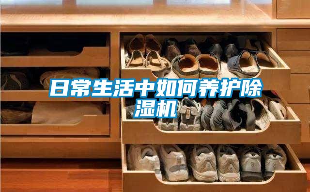 日常生活中如何养护香蕉福利视频机