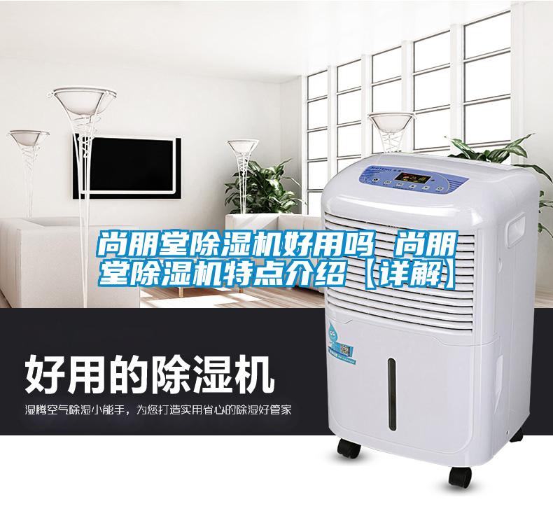 尚朋堂香蕉福利视频机好用吗 尚朋堂香蕉福利视频机特点介绍【详解】