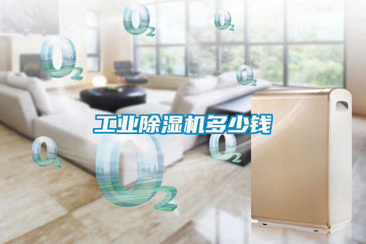 工业香蕉福利视频机多少钱
