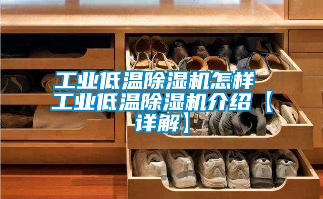 工业低温香蕉福利视频机怎样 工业低温香蕉福利视频机介绍【详解】