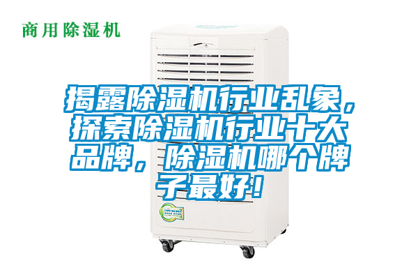 揭露香蕉福利视频机行业乱象，探索香蕉福利视频机行业十大品牌，香蕉福利视频机哪个牌子最好！